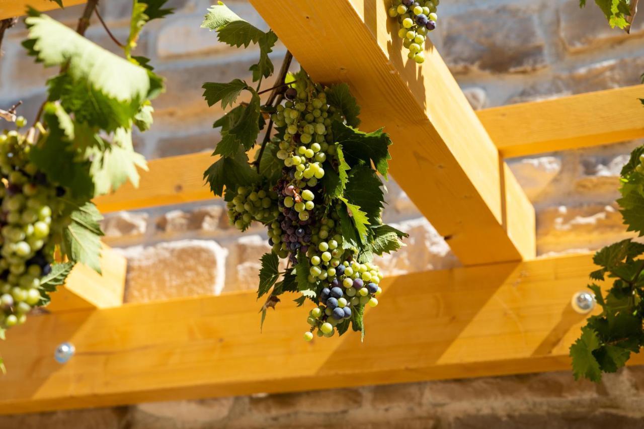 Agriturismo Colpo di Fortuna Gualdo di Macerata Esterno foto