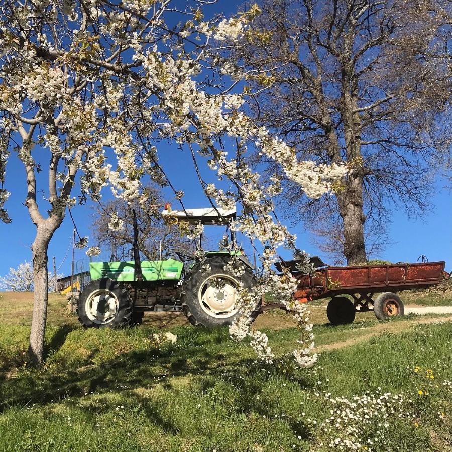 Agriturismo Colpo di Fortuna Gualdo di Macerata Esterno foto