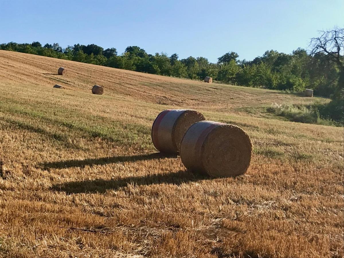 Agriturismo Colpo di Fortuna Gualdo di Macerata Esterno foto