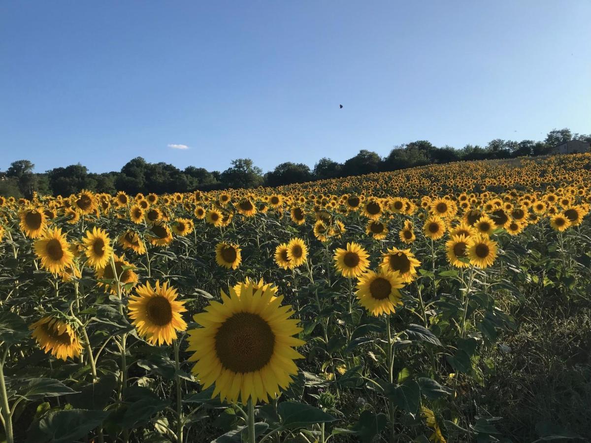 Agriturismo Colpo di Fortuna Gualdo di Macerata Esterno foto
